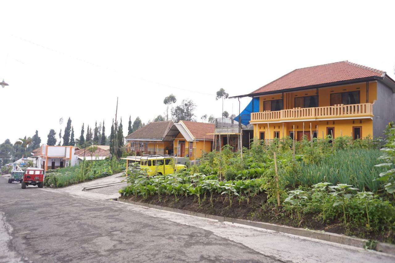 Homestay Lereng Bromo Esterno foto