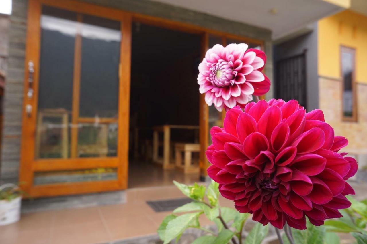 Homestay Lereng Bromo Esterno foto