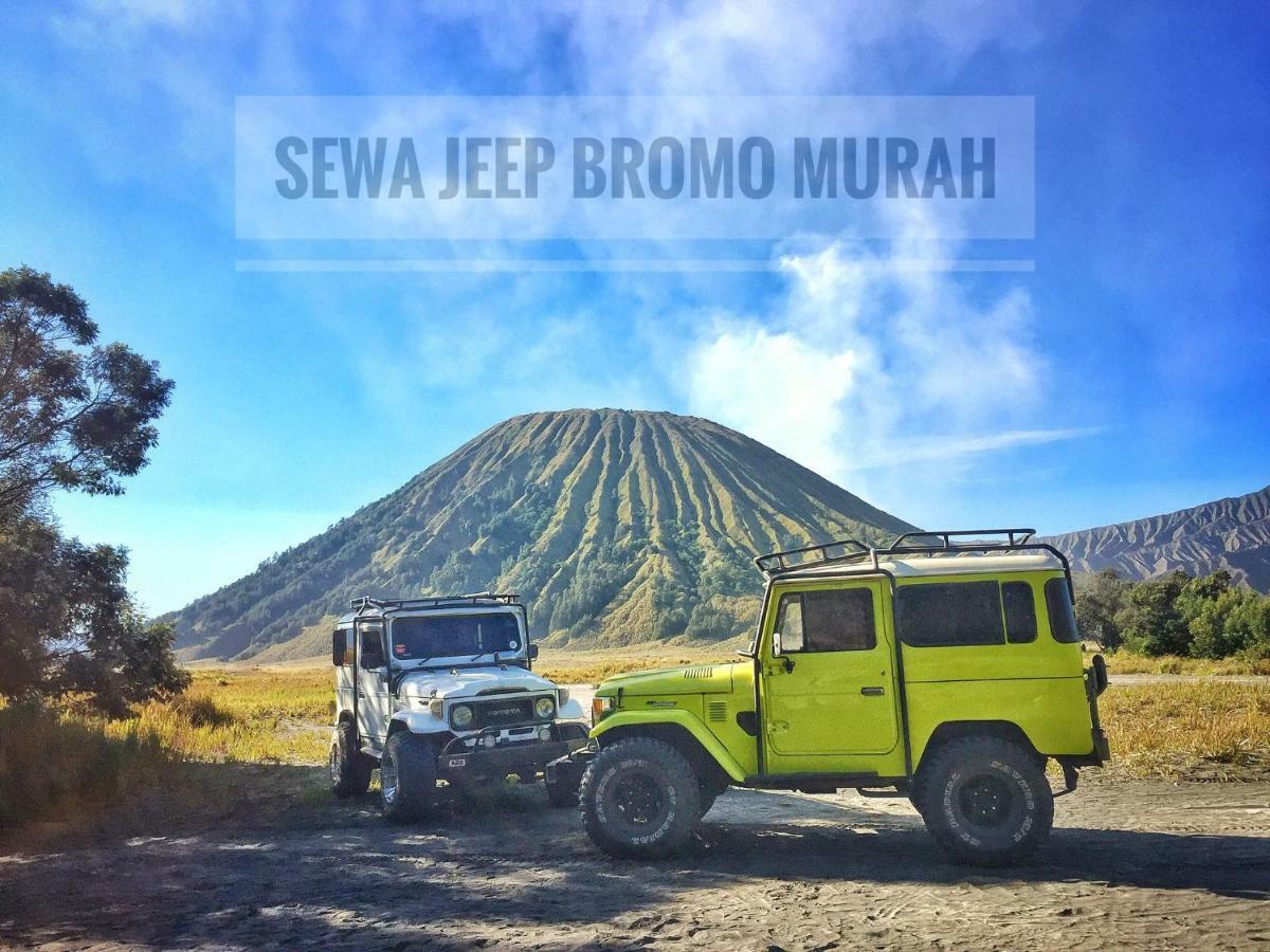 Homestay Lereng Bromo Esterno foto